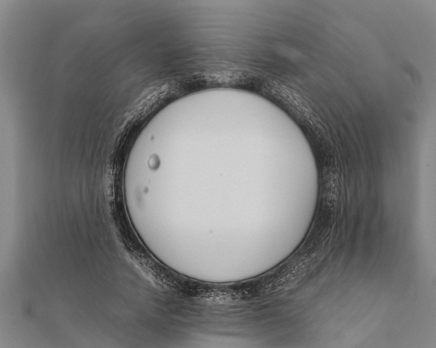 X0000111530738200908041304