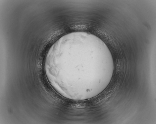 X0000111530739200908041304