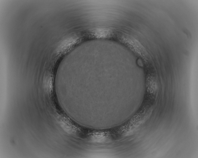 X0000111530740200908041304