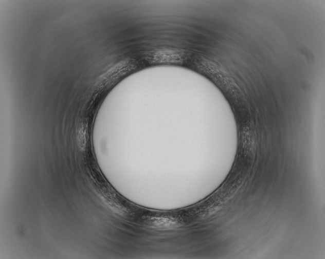 X0000111530741200908041304