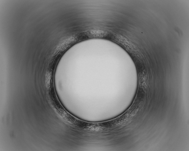 X0000111530742200908041304