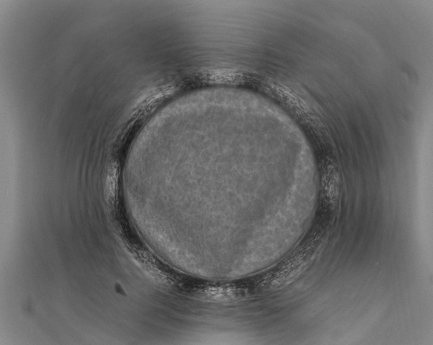 X0000111530744200908041304