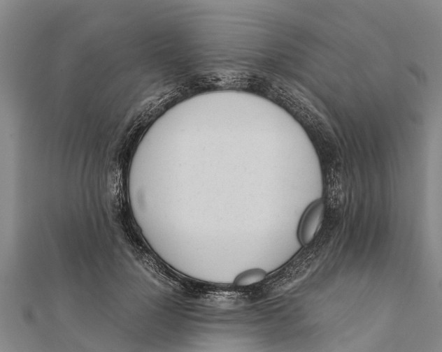 X0000111530748200908041304