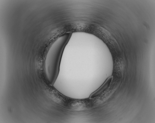 X0000111530750200908041304