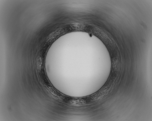 X0000111530752200908041304