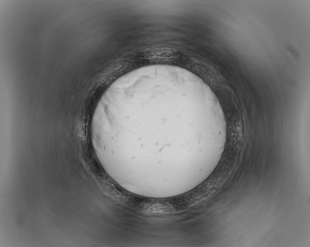 X0000111530755200908041304