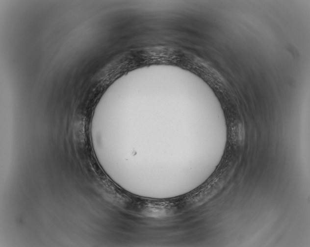 X0000111530757200908041304