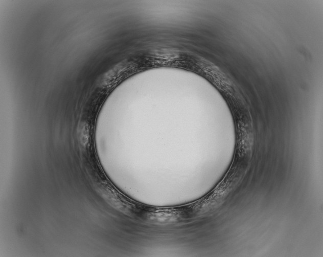 X0000111530758200908041304