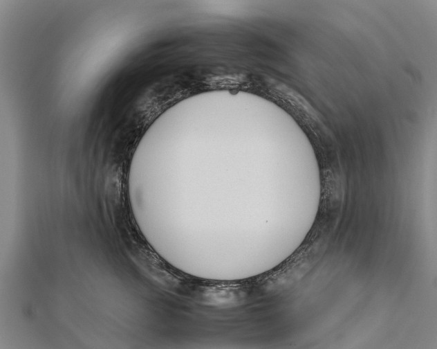 X0000111530761200908041304