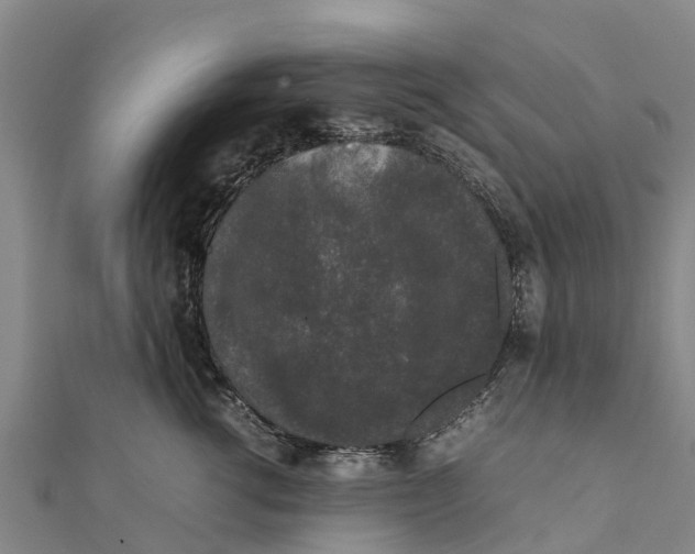 X0000111530762200908041304