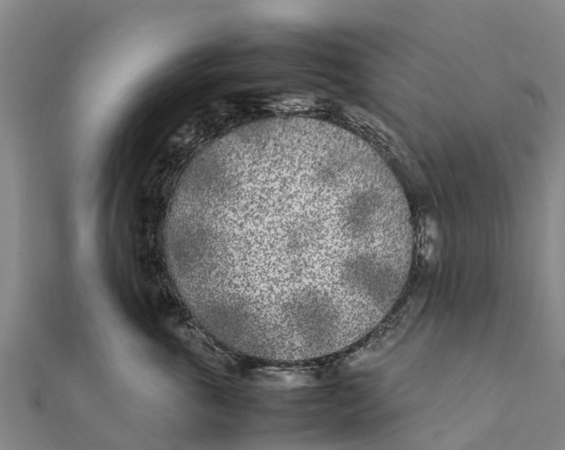 X0000111530763200908041304