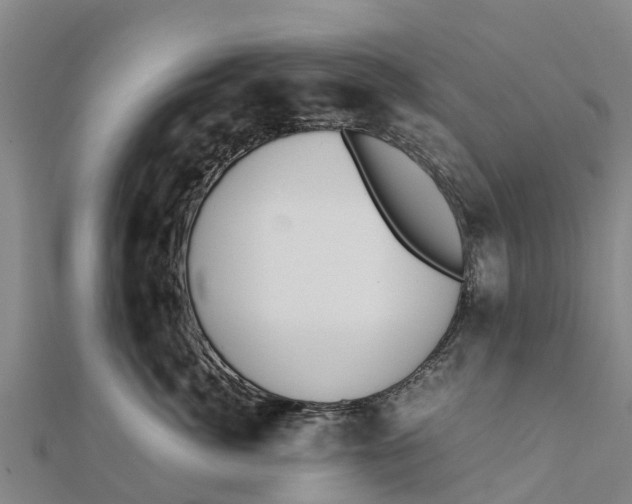 X0000111530764200908041304