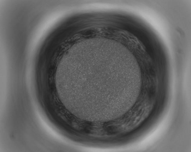 X0000111530766200908041304