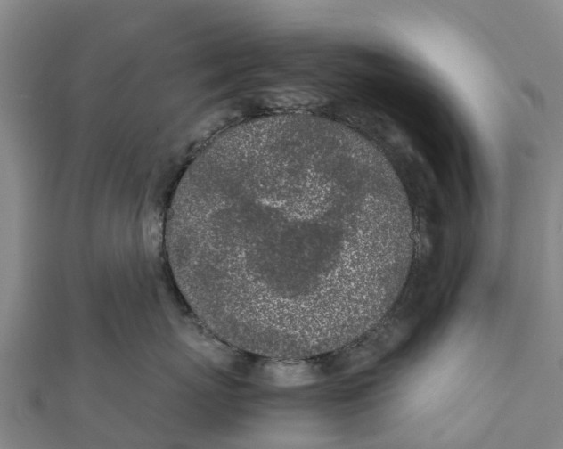 X0000111530767200908041304