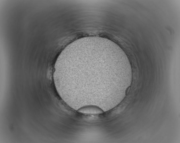 X0000111530768200908041304