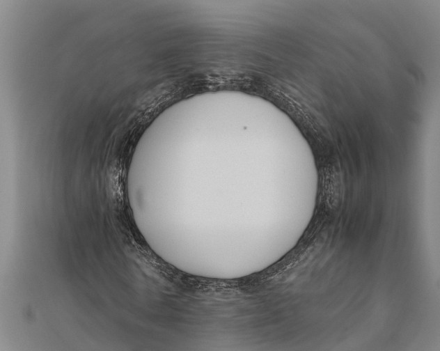 X0000111530770200908041304