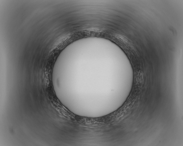 X0000111530774200908041304