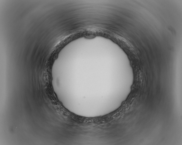 X0000111530776200908041304