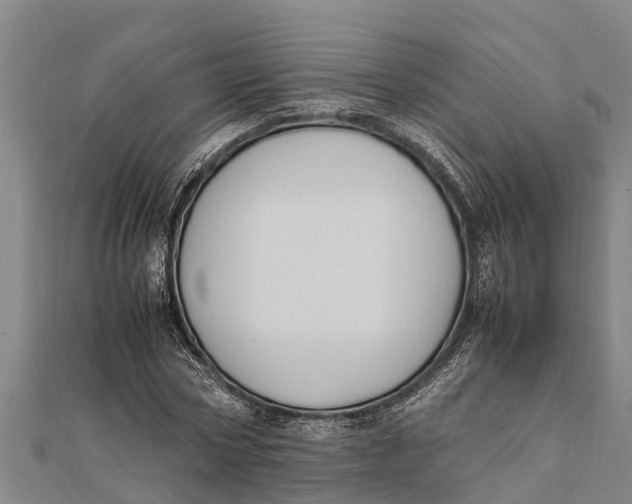 X0000111530778200908041304