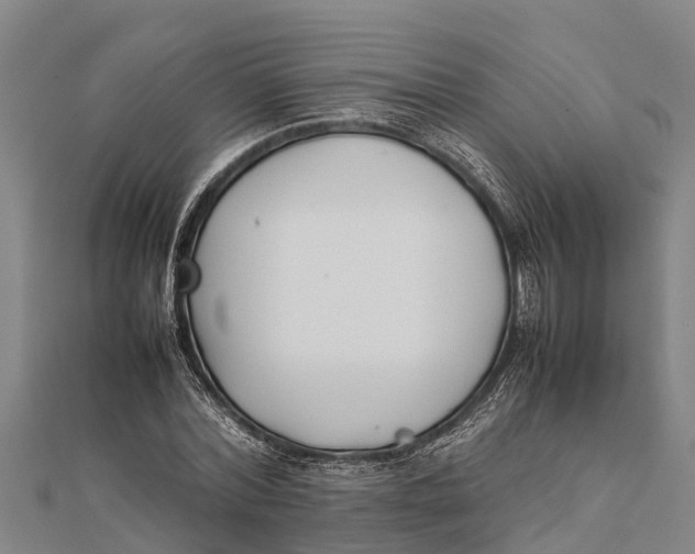 X0000111530780200908041304