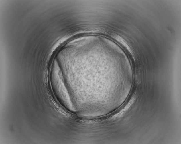 X0000111530781200908041304