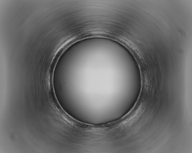 X0000111530782200908041304