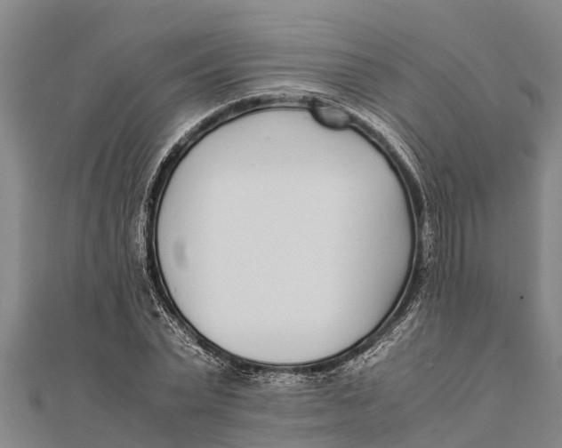 X0000111530783200908041304