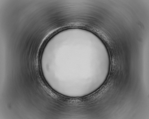 X0000111530784200908041304