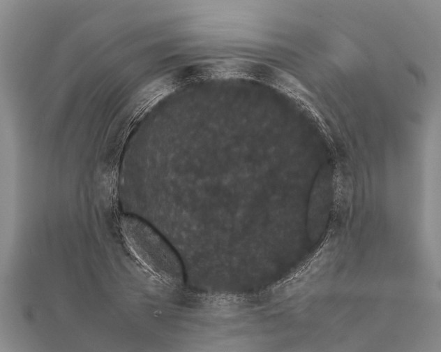 X0000111530785200908041304