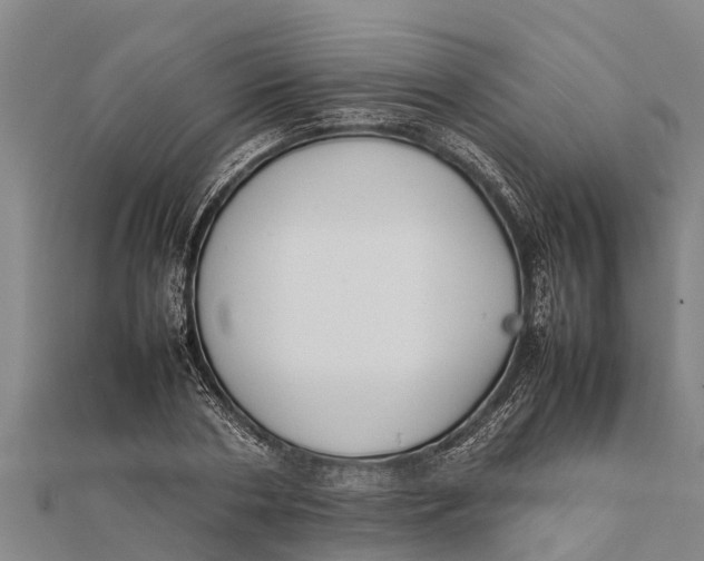 X0000111530786200908041304