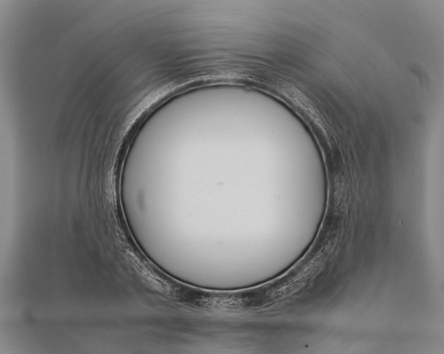 X0000111530789200908041304