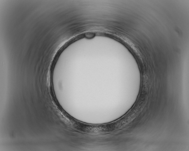 X0000111530791200908041304