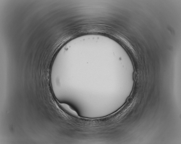 X0000111530793200908041303