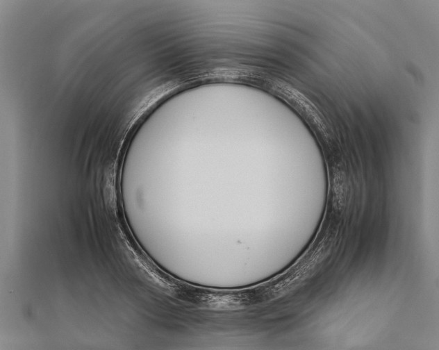 X0000111530794200908041303