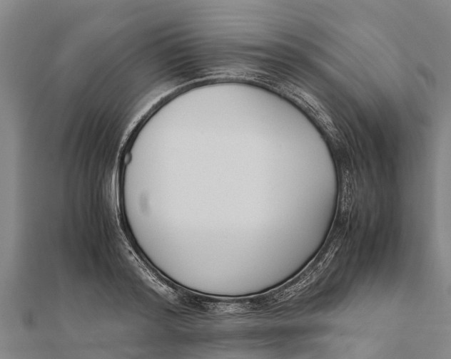 X0000111530796200908041303