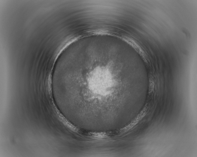 X0000111530798200908041303