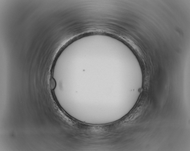 X0000111530799200908041303