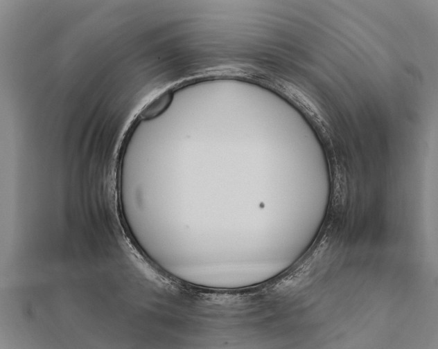 X0000111530800200908041303