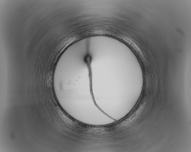 X0000111530801200908041303