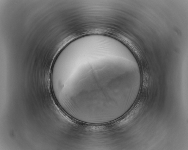 X0000111530802200908041303