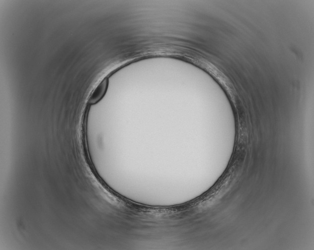 X0000111530803200908041303