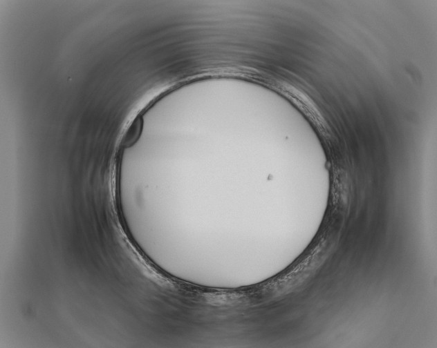 X0000111530804200908041303