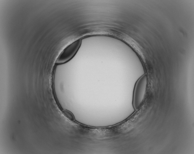 X0000111530805200908041303