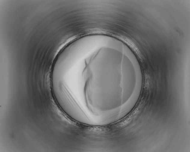 X0000111530806200908041303