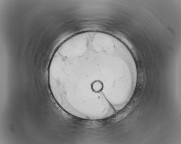 X0000111530807200908041303