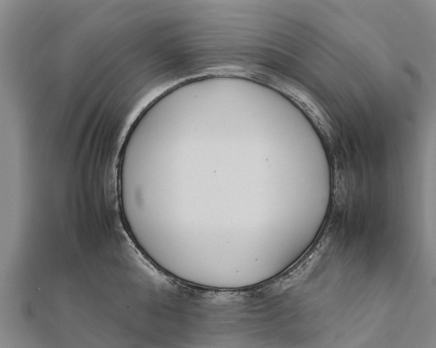 X0000111530808200908041303