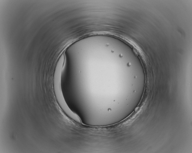 X0000111530809200908041303