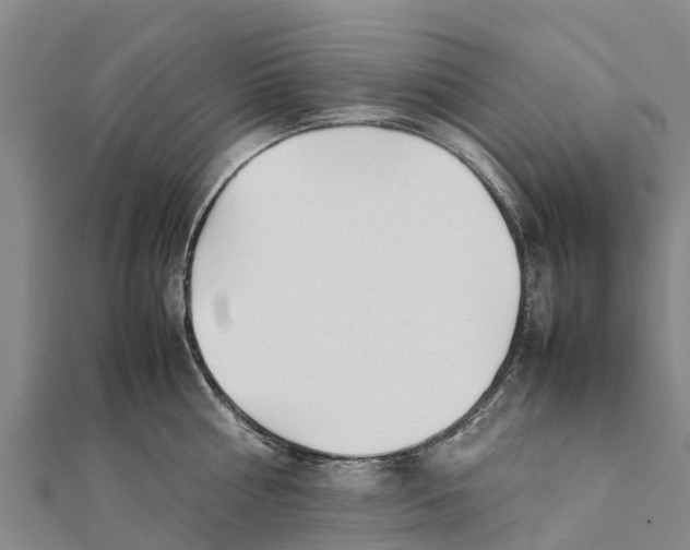 X0000111530810200908041303