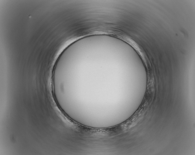 X0000111530811200908041303