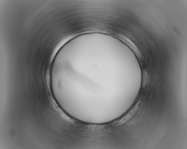 X0000111530812200908041303